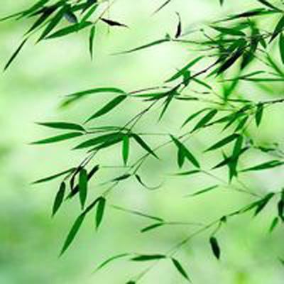 双生十字众矢之地手游(暂未上线)v1.2 安卓版